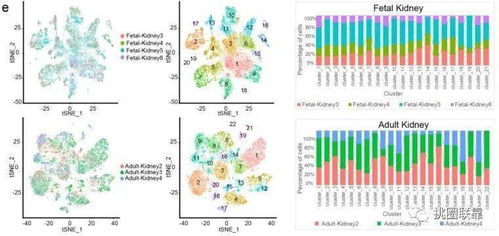 42分Nature頂刊單細(xì)胞測(cè)序綜述 刷新人類(lèi)細(xì)胞圖譜認(rèn)知，揭示下一波研究熱點(diǎn)