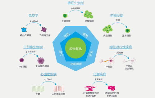 全新安捷倫Seahorse XF底物氧化壓力測(cè)試產(chǎn)品 推動(dòng)自然科學(xué)研究與試驗(yàn)發(fā)展